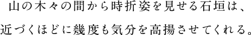 山の木々の間から時折姿を見せる石垣は、近づくほどに幾度も気分を高揚させてくれる。