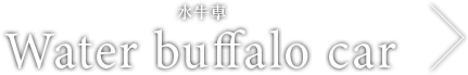 水牛車 Water buffalo car