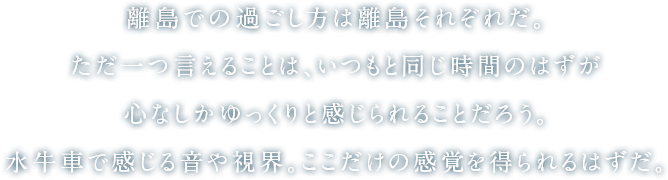 離島での過ごし方は離島それぞれだ。ただ一つ言えることは、いつもと同じ時間のはずが心なしかゆっくりと感じられることだろう。水牛車で感じる音や視界。ここだけの感覚を得られるはずだ。