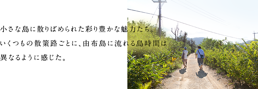 小さな島に散りばめられた彩り豊かな魅力たち。いくつもの散策路ごとに、由布島に流れる島時間は異なるように感じた。