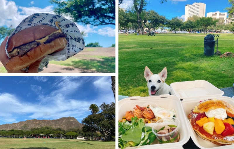 大きく広がる空の下、自然のなかでのピクニックはハワイを全身で満喫できる