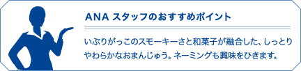 ANAスタッフのおすすめポイント