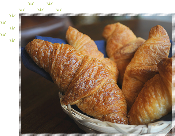 人気の5種ギフト イメージ