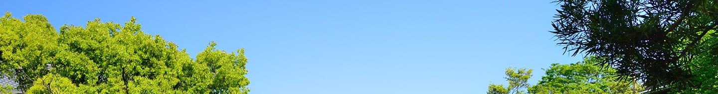 福岡・福岡空港（イメージ）