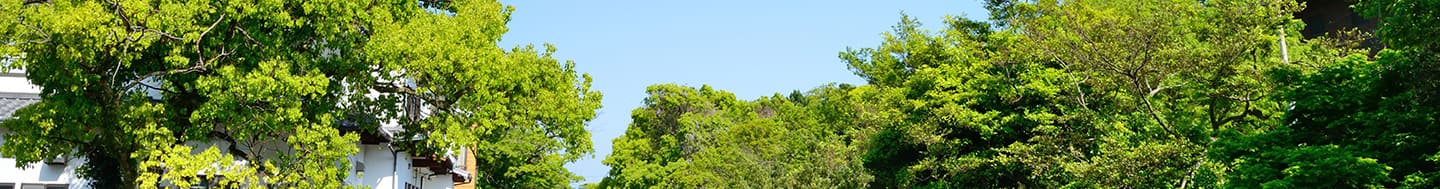 福岡・福岡空港（イメージ）