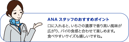 ANAスタッフのおすすめポイント
