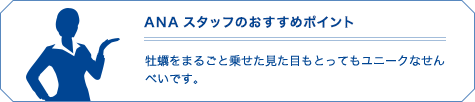 ANAスタッフのおすすめポイント
