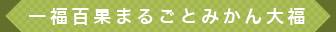 一福百果まるごとみかん大福