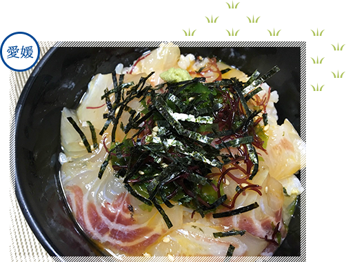 宇和島鯛めしの素　イメージ1 愛媛