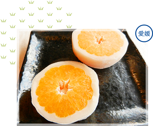 一福百果まるごとみかん大福　イメージ1 愛媛