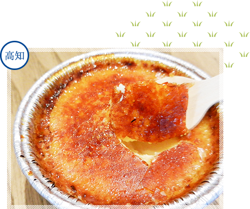 アイスブリュレ　イメージ 高知