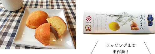 瀬戸田レモンケーキ　島ごころ　イメージ2