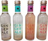 北海道ジンジャエール イメージ2