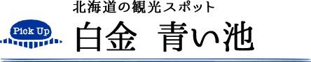 北海道の観光スポット 白金 青い池