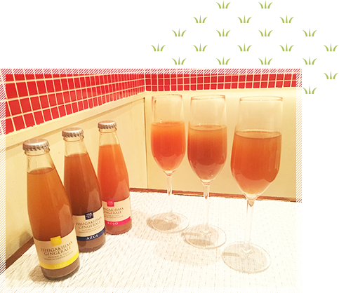 石垣島ジンジャーエール　イメージ1