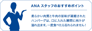 ANAスタッフのおすすめポイント