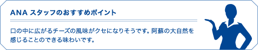 ANAスタッフのおすすめポイント