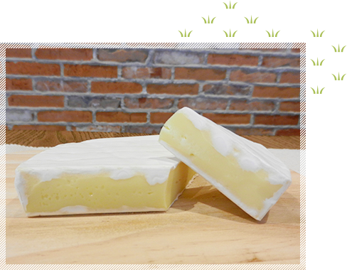 牧場のカマンベール　イメージ1