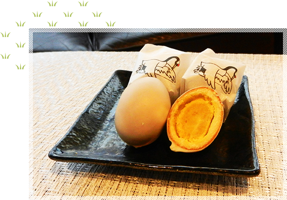 丹頂鶴の卵　イメージ1