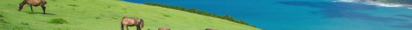宮崎県(イメージ)