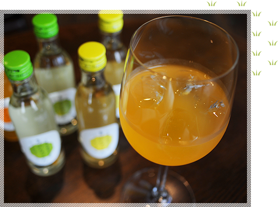 南都酒造所 島のなごみ3本セット イメージ