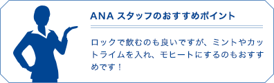 ANAスタッフのおすすめポイント
