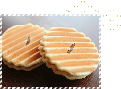 千寿せんべい　イメージ