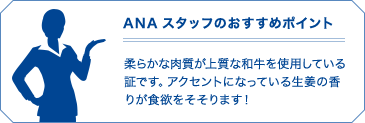ANAスタッフのおすすめポイント