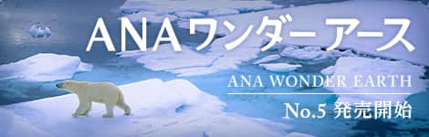 ANAワンダーアース