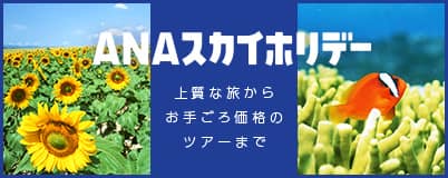 ANAスカイホリデー