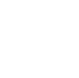 TEAM ANA 今できる、すべてをここに。