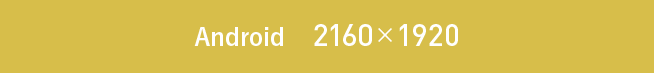 Android 2160&times;1920