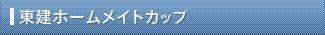 東建ホームメイトカップ