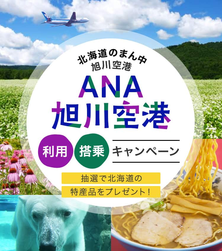 Ana 旭川空港利用 搭乗キャンペーン ご予約 旅の計画 航空券予約 空席照会 Ana