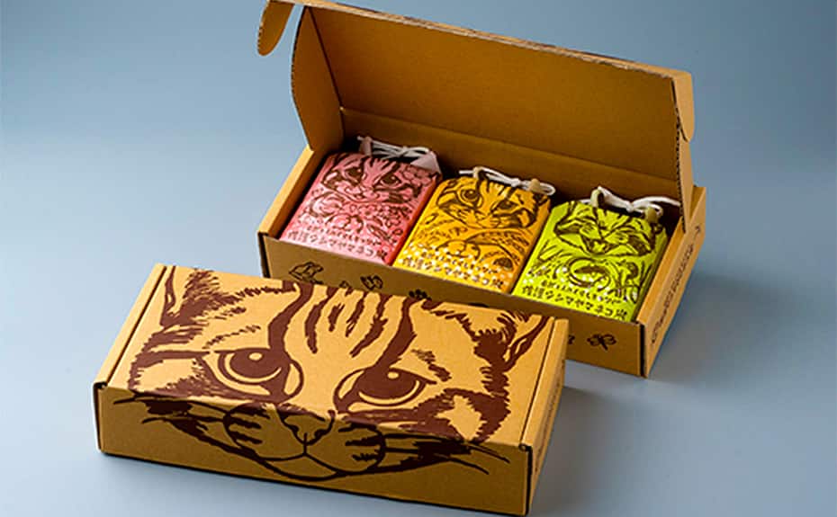 F賞　ツシマヤマネコ米セット　20名様