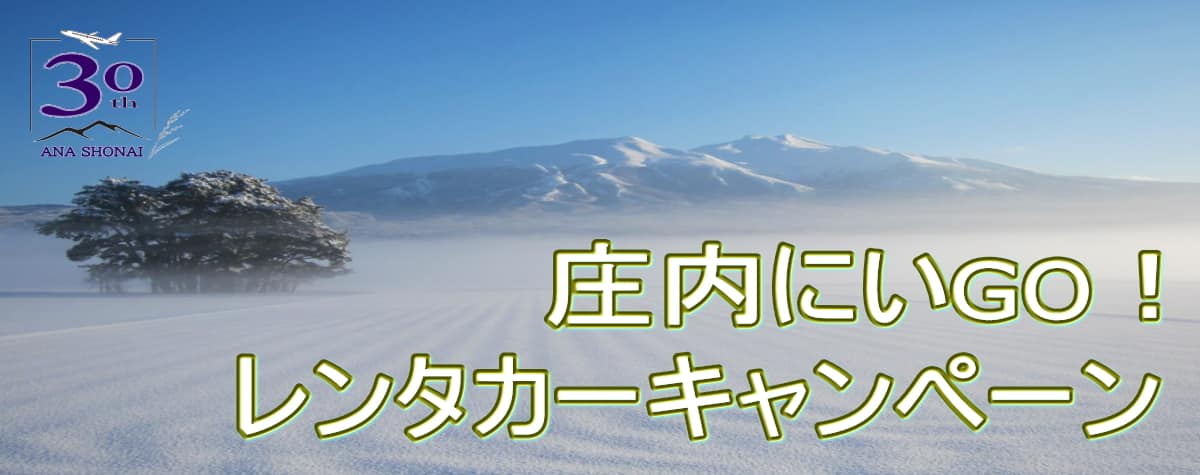 庄内にいGO!レンタカーキャンペーン