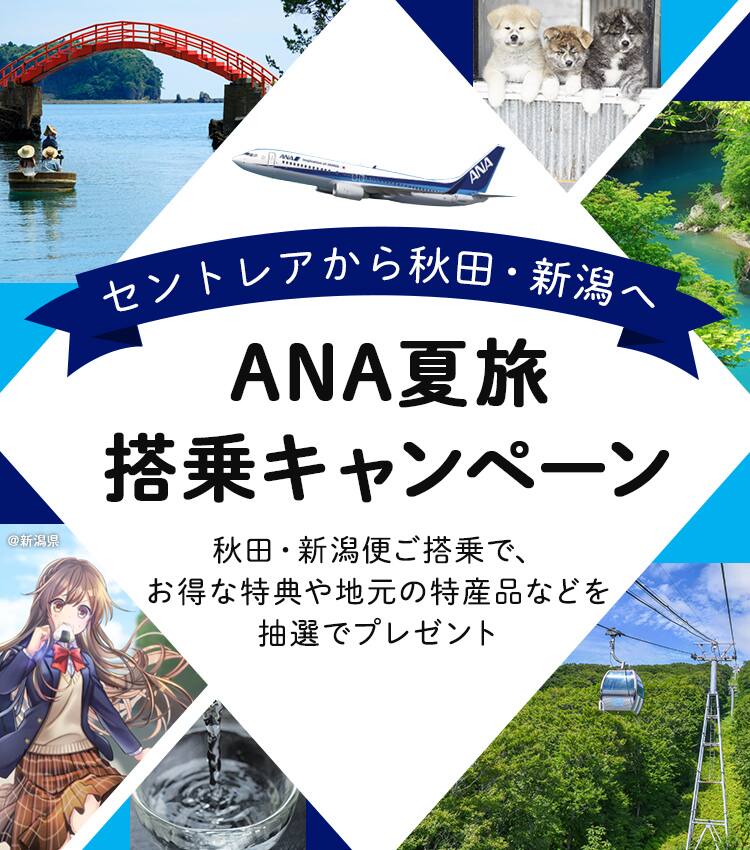 セントレアから秋田 新潟へ Ana夏旅搭乗キャンペーン ご予約 旅の計画 航空券予約 空席照会 Ana