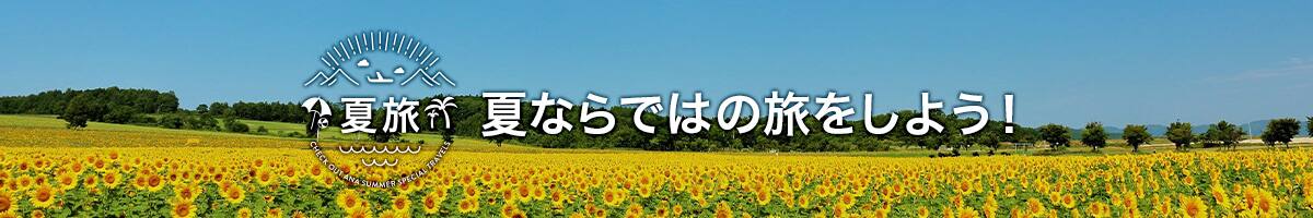 夏旅 夏ならではの旅をしよう！
