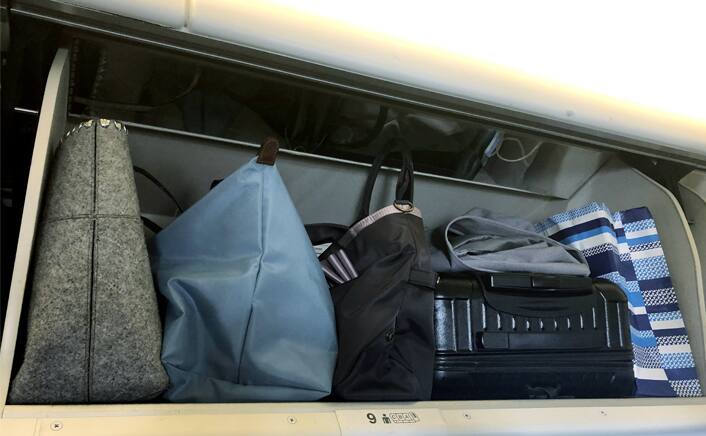 ana luggage