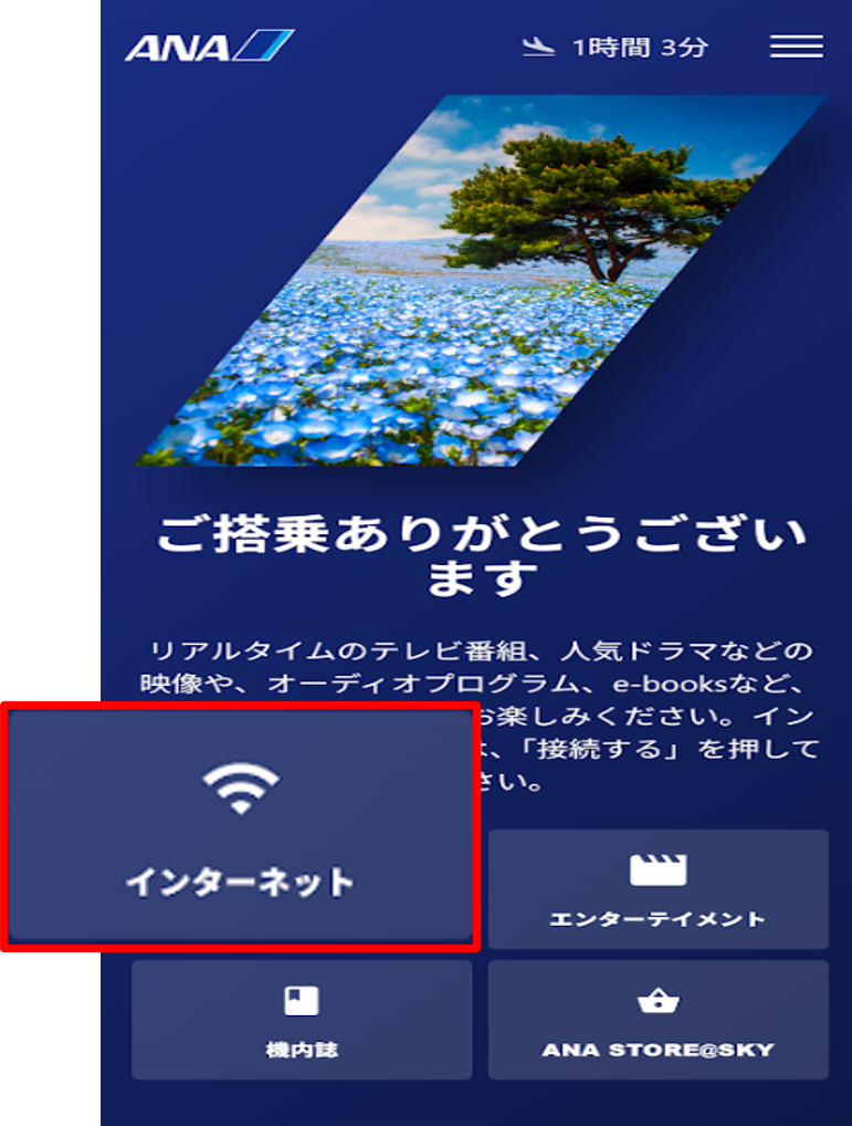 コンテンツをお楽しみください