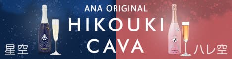 ANAオリジナル HIKOUKI CAVA（飛行機カヴァ）特集
