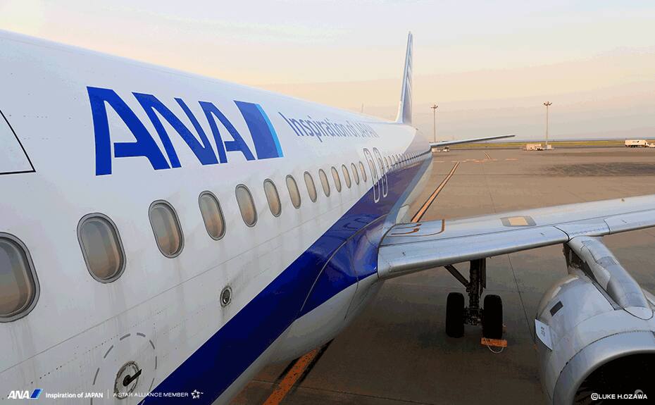 最も気に入った Ana 壁紙 787 無料のhd壁紙 Joskabegami