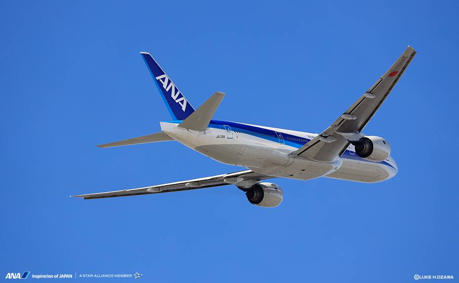 すべての花の画像 ベスト壁紙 飛行機 Ana