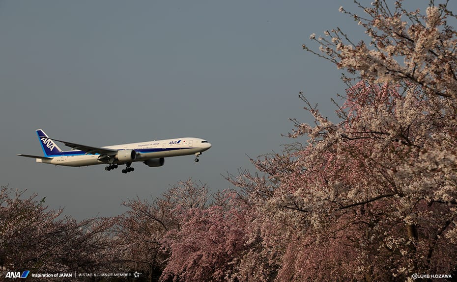 飛行機や空の壁紙をフリーダウンロード バックナンバー Ana