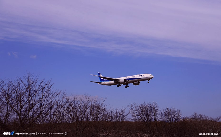 壁紙ダウンロード 飛行機の高画質画像 Pc 無料 Ana