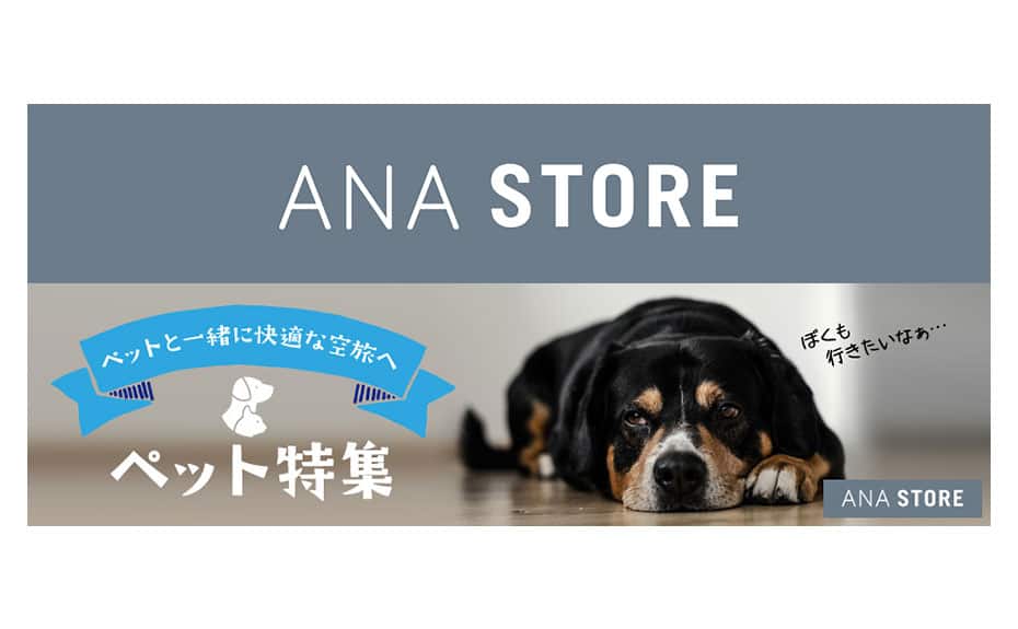 ペットをお連れのお客様 国内線 Service Info 国内線 Ana