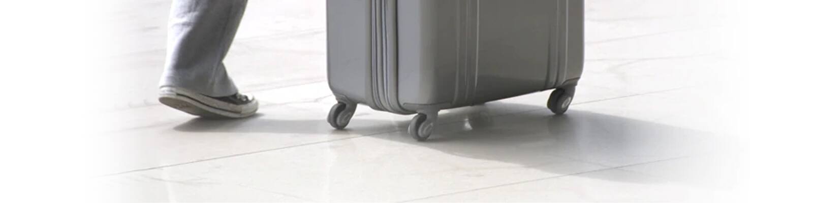 ana hand luggage