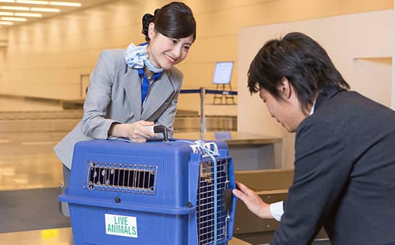 ペットをお連れのお客様 国内線 Service Info 国内線 Ana