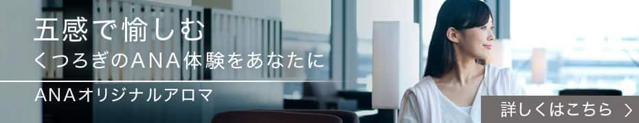 Anaのラウンジ 国際線 Service Info 国際線 Ana