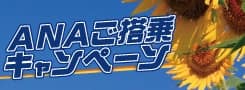 小松・能登＝東京（羽田）　ANAご搭乗キャンペーン